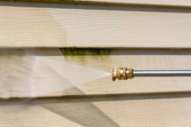 Best Sidewalk Pressure Washing  in Cedar Falls, IA