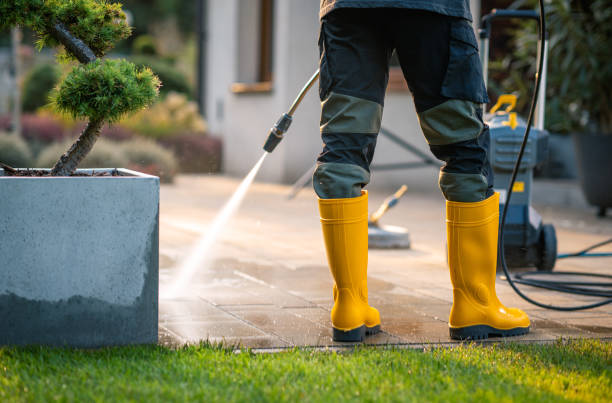 Best Affordable Power Washing  in Cedar Falls, IA